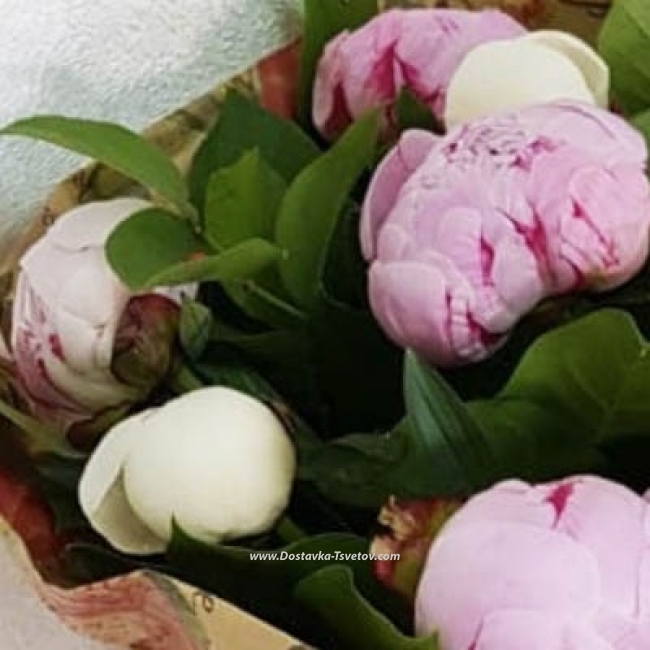 Пионы в крафте "Озеро Надежды" - Фото #7