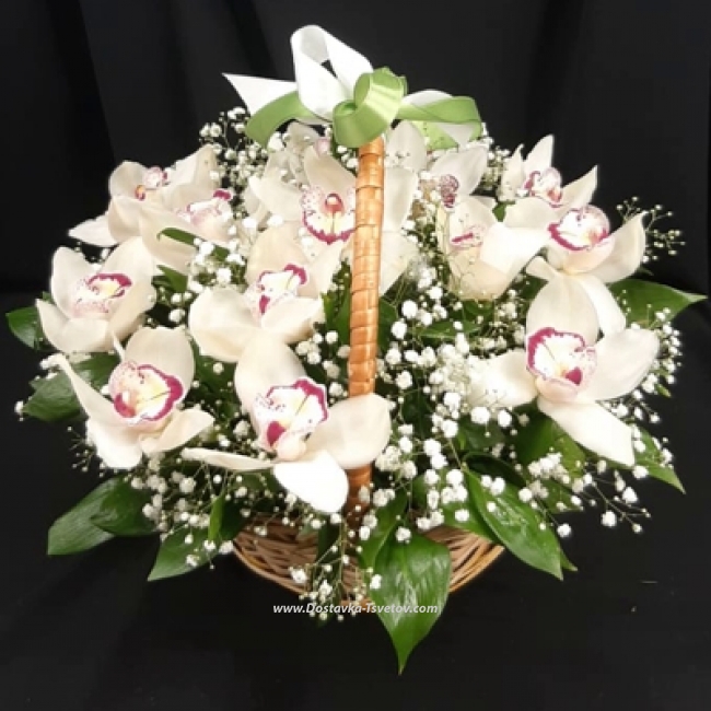 Белые орхидеи "Первый Звонок" - Фото #2