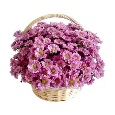 Корзина  розовых хризантем "Каникулы"