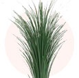 sostav