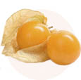 sostav