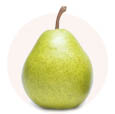 sostav