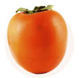 sostav