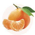 sostav