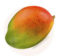 sostav