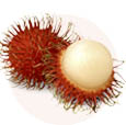 sostav